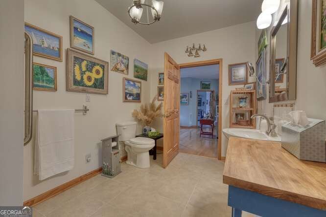 275 Everetts View Blairsville - 49