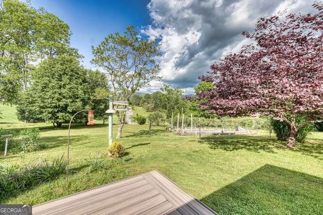 275 Everetts View Blairsville - 66