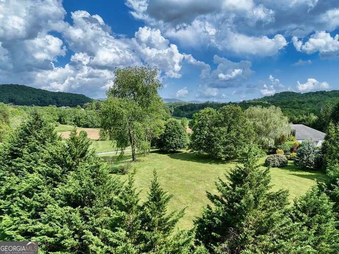 275 Everetts View Blairsville - 71