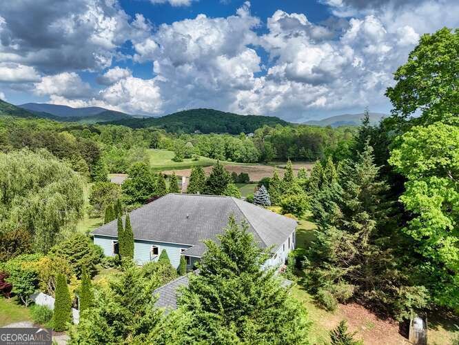 275 Everetts View Blairsville - 8