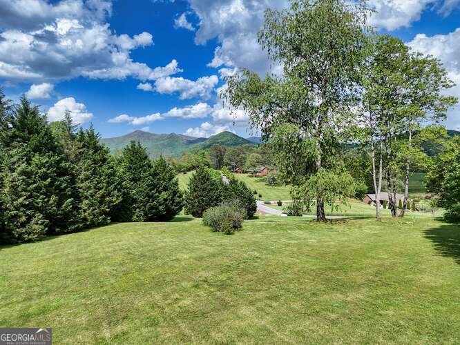 275 Everetts View Blairsville - 9