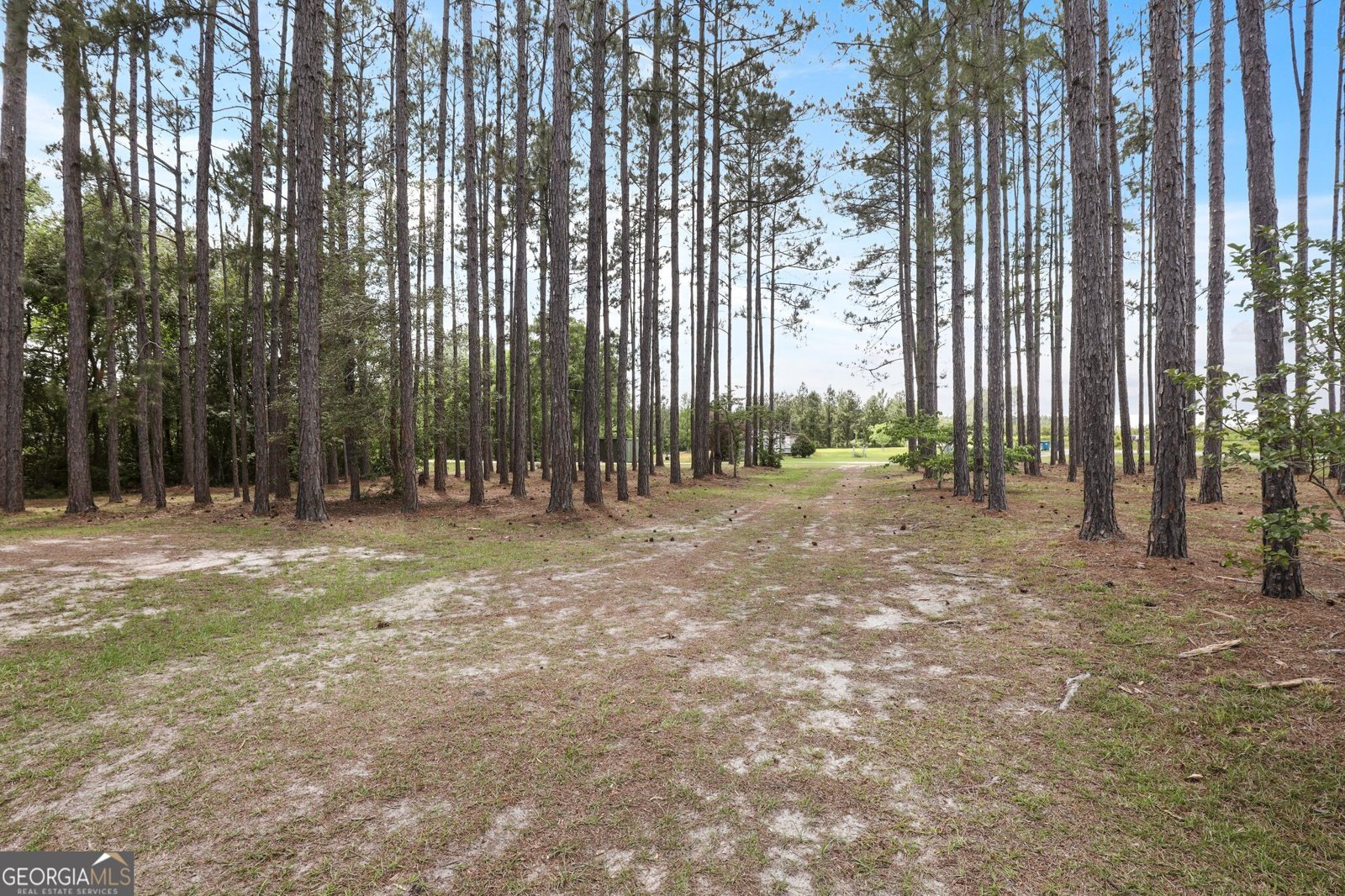621 Aaron Holland Road Jesup - 2