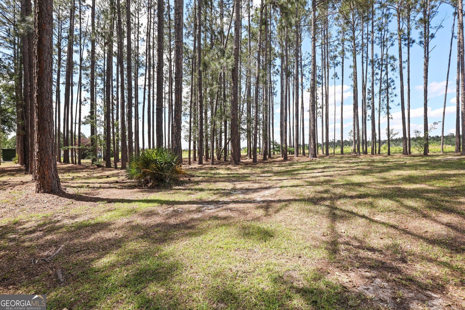 621 Aaron Holland Road Jesup - 41