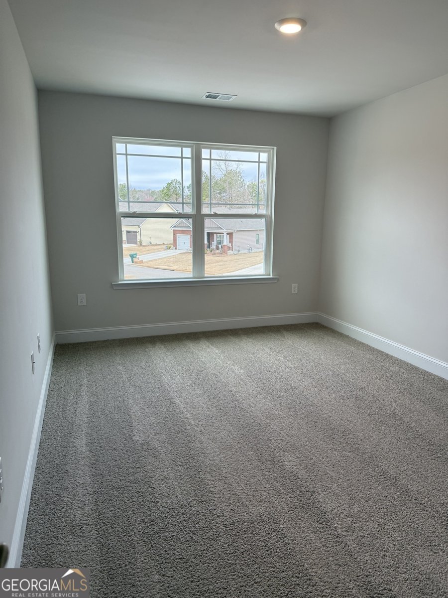 115 VINEYARD Walk Carrollton - 13