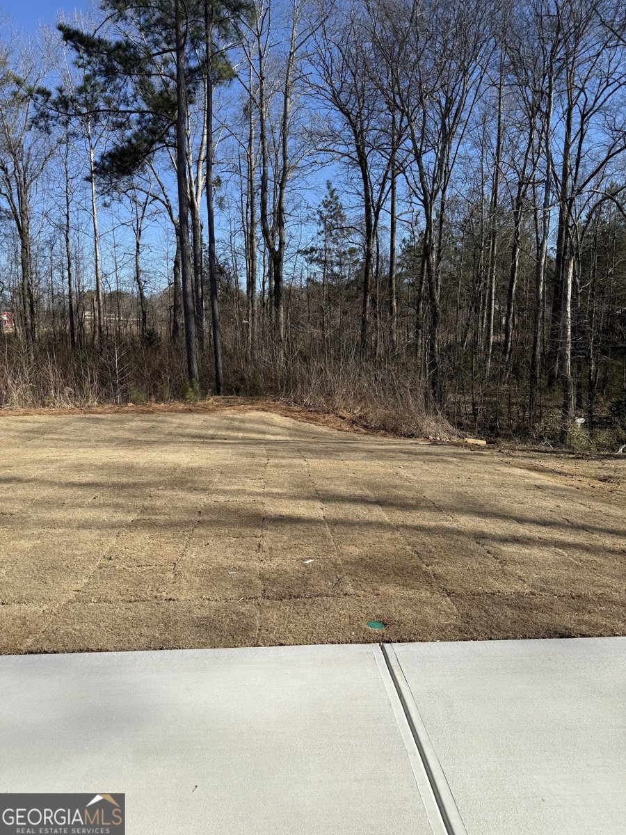 115 VINEYARD Walk Carrollton - 6
