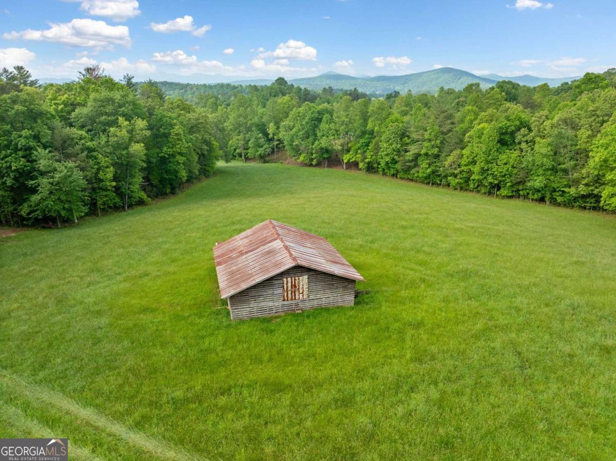 10442 Hwy 325 Blairsville - 1