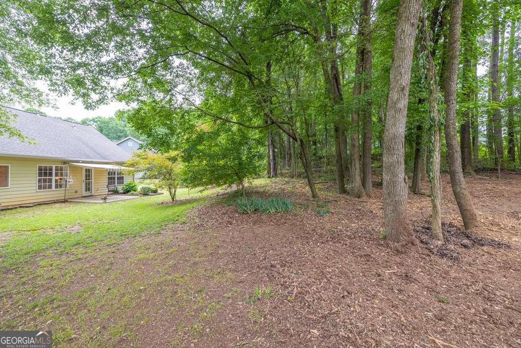 272 Blackberry Lane Pendergrass - 31