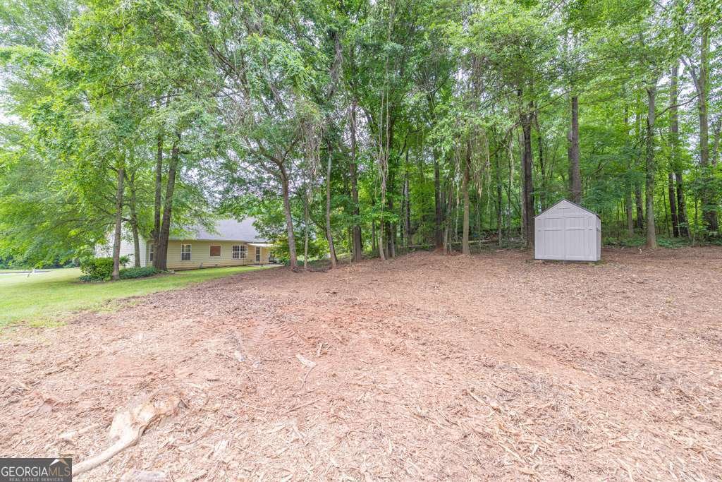 272 Blackberry Lane Pendergrass - 33