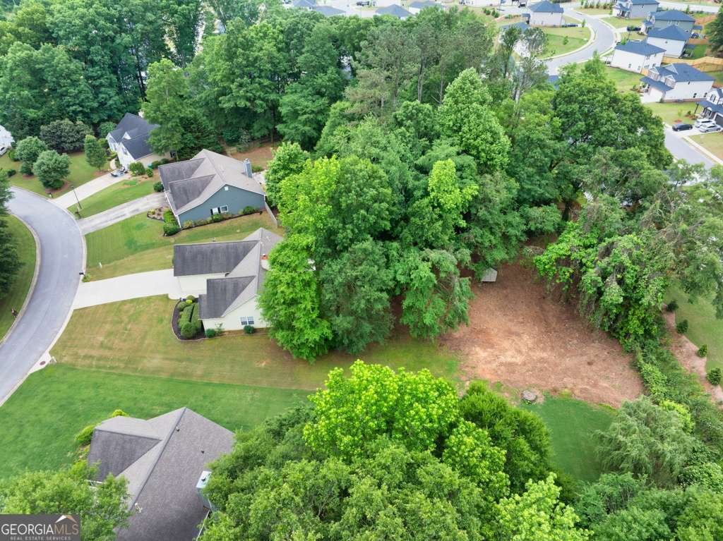 272 Blackberry Lane Pendergrass - 39