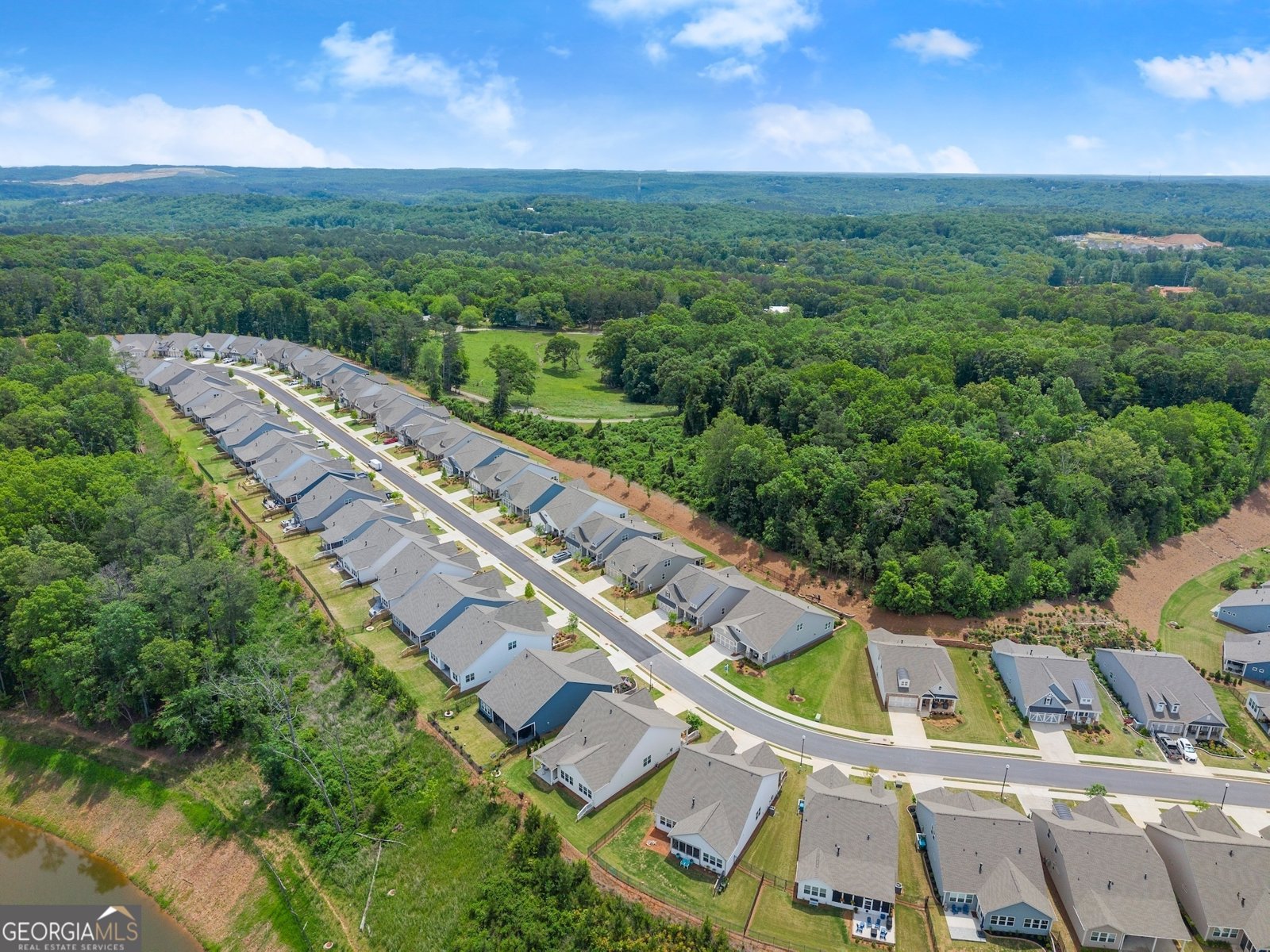 207 Hickory Bluffs Parkway Canton - 50