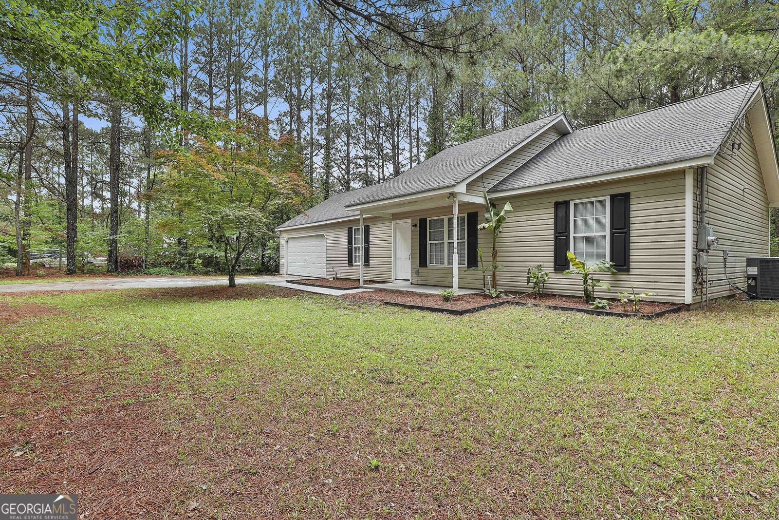 59 Carmel Road Senoia - 5