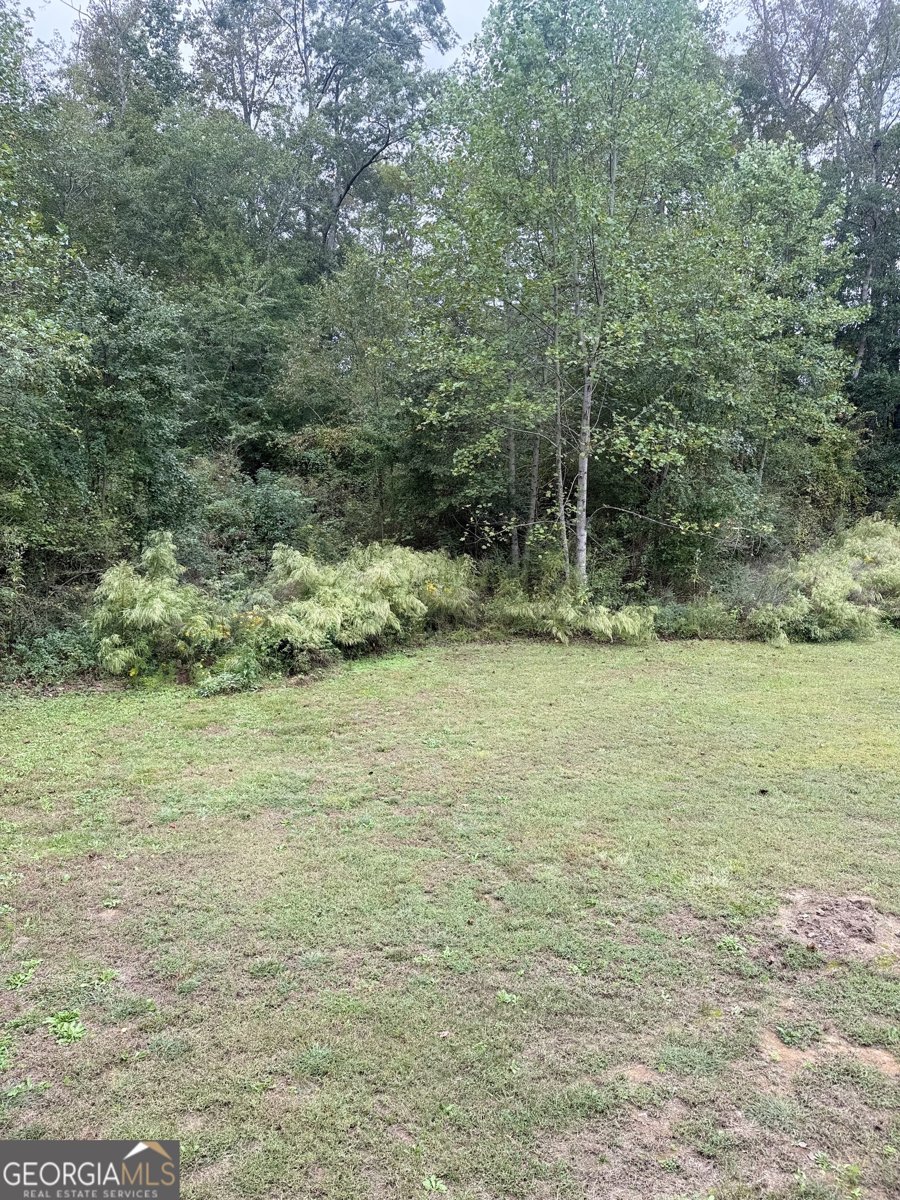 201 Deerfield Lane Carrollton - 23