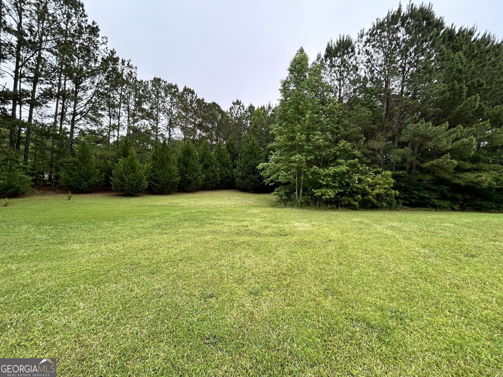 6358 Ga Hwy 109 Molena - 20