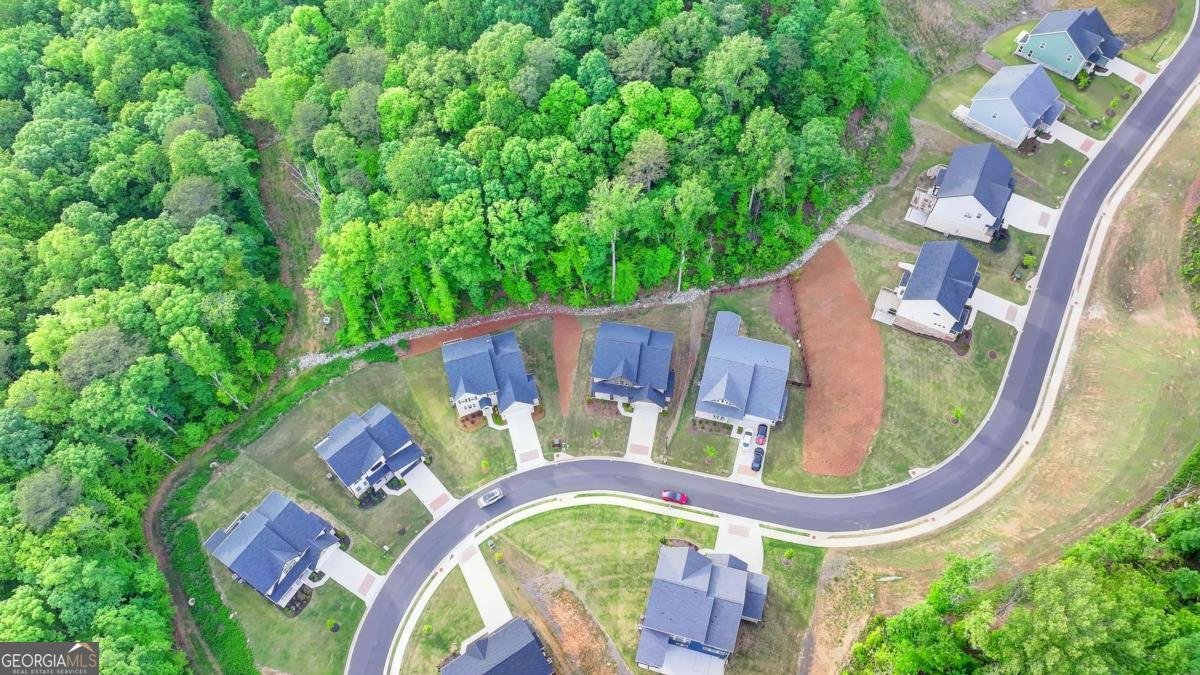8335 SCENIC RIDGE Way Ball Ground - 66