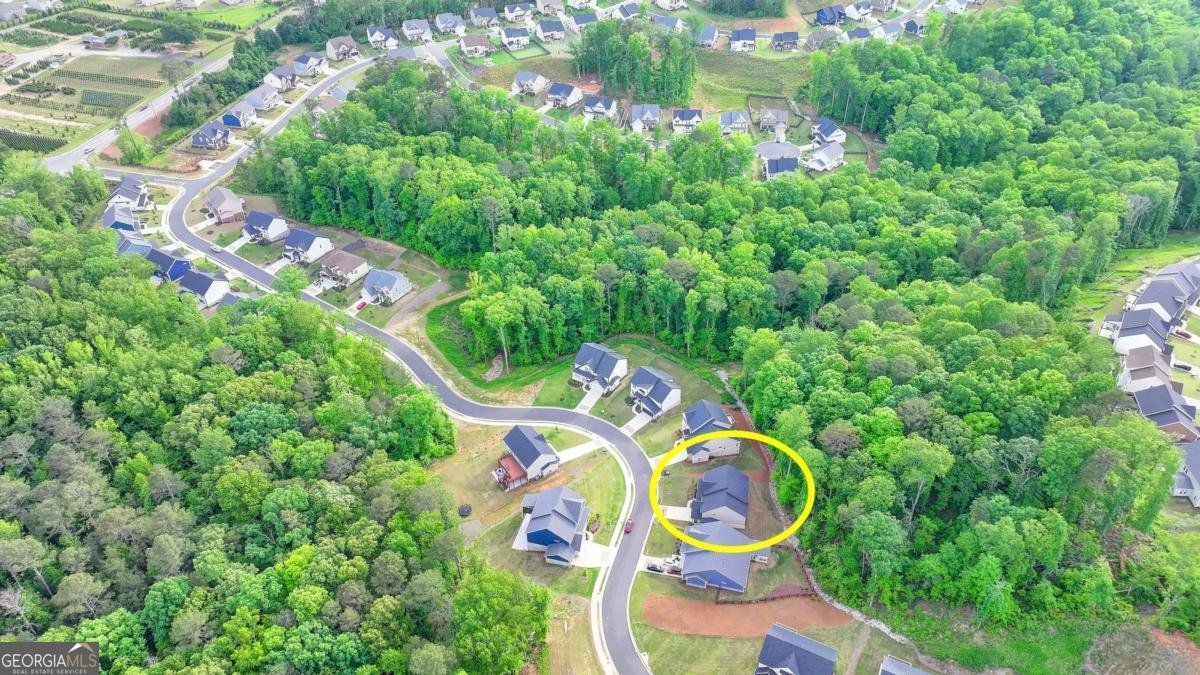 8335 SCENIC RIDGE Way Ball Ground - 67