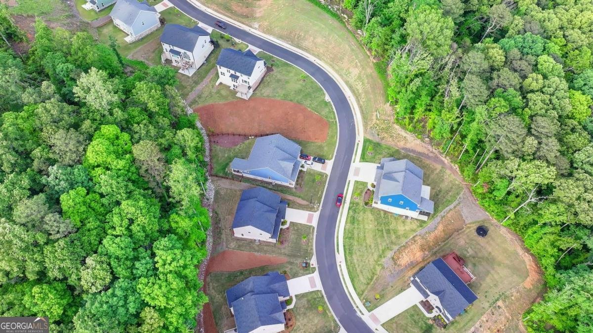 8335 SCENIC RIDGE Way Ball Ground - 76