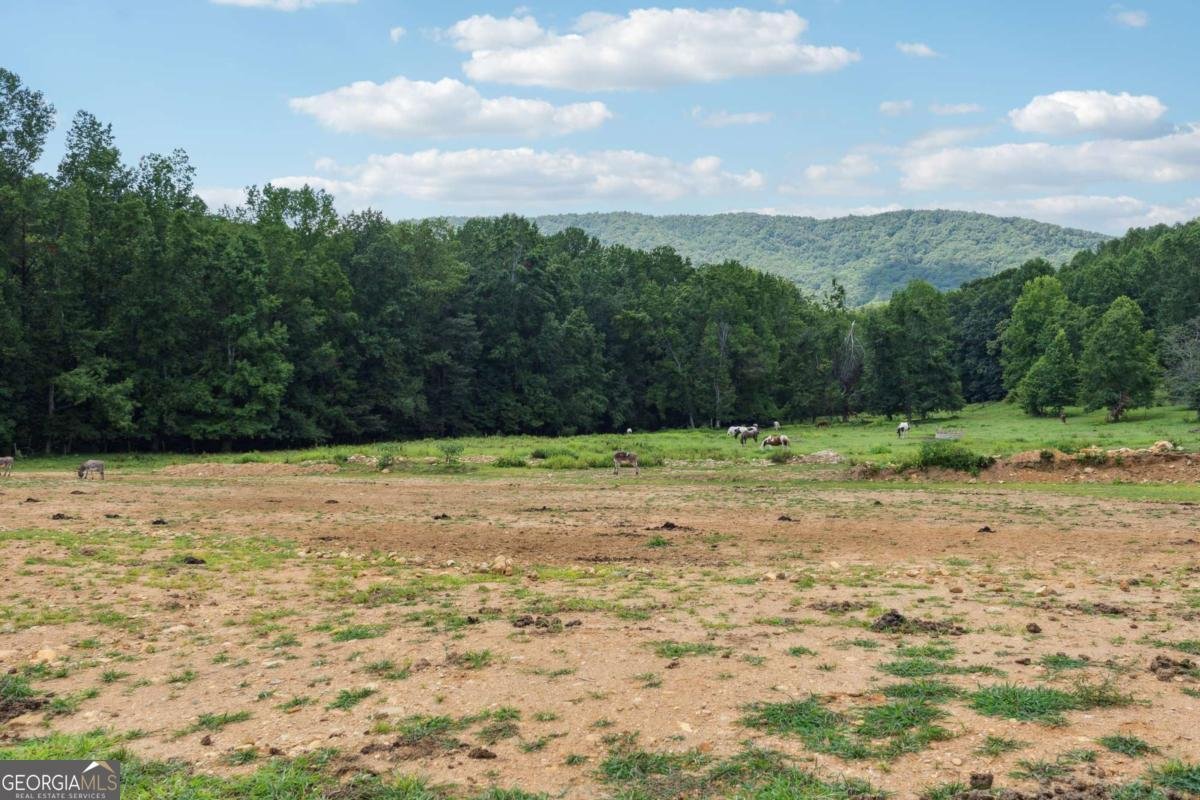 207 Canyon Pass Cleveland - 4