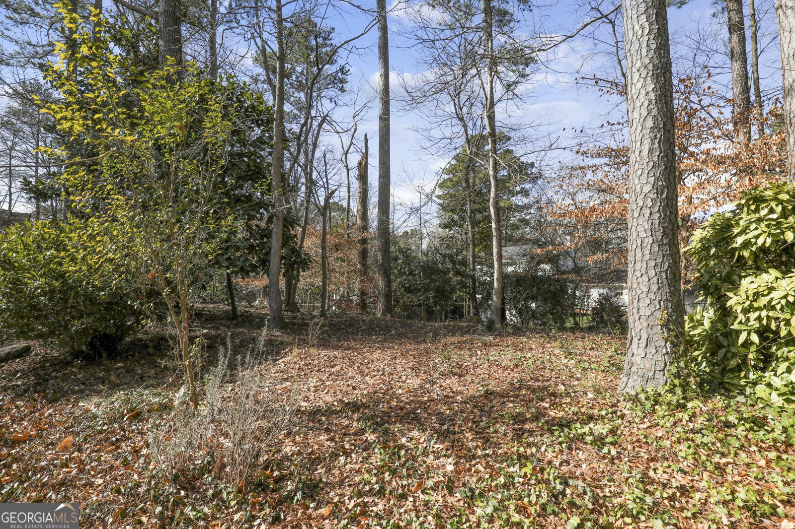 6300 Mountain Brook Lane Atlanta - 43