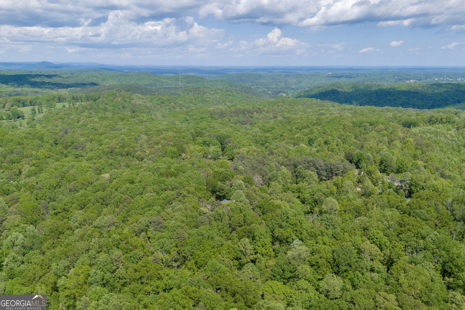 1886 Bend N Hickory Road Toccoa - 39