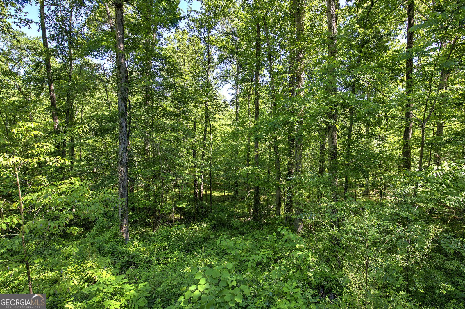 567 Fred Kelley Road Rome - 20