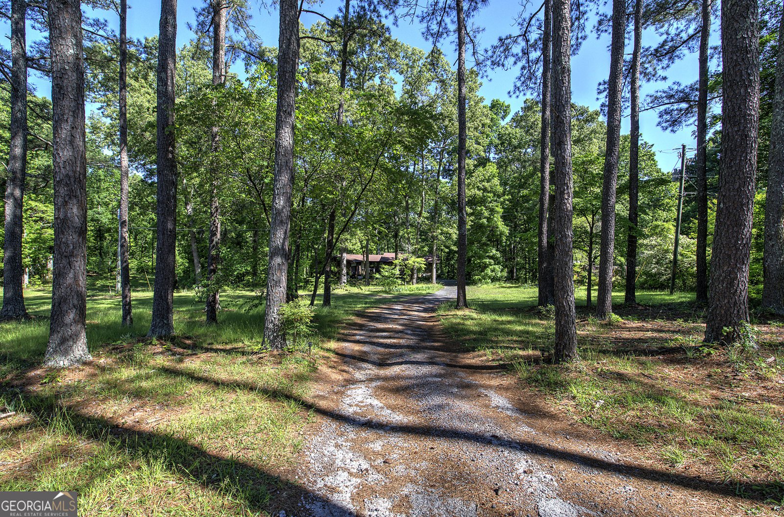 567 Fred Kelley Road Rome - 3