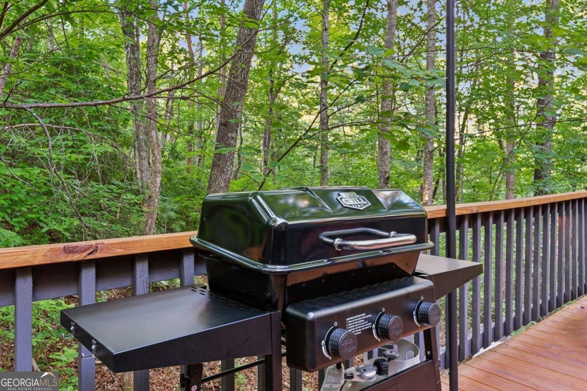 889 Granny Branch Drive Blue Ridge - 55