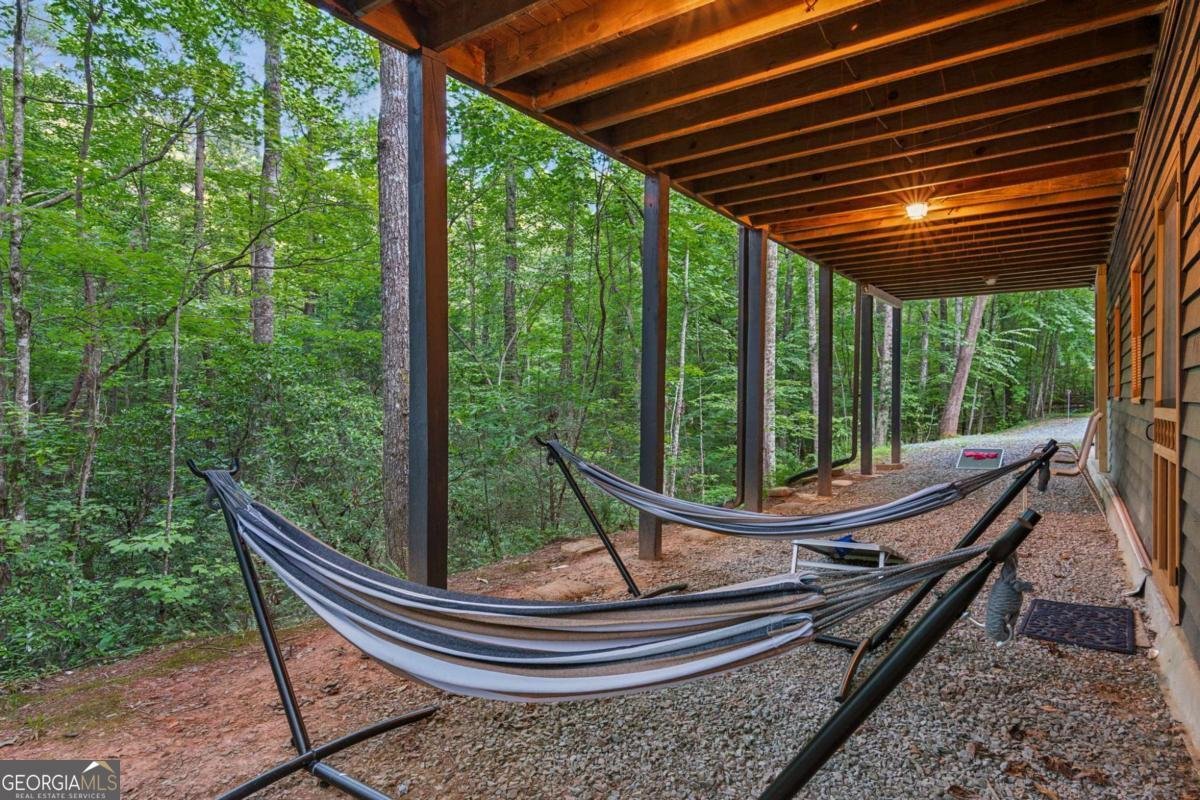 889 Granny Branch Drive Blue Ridge - 57