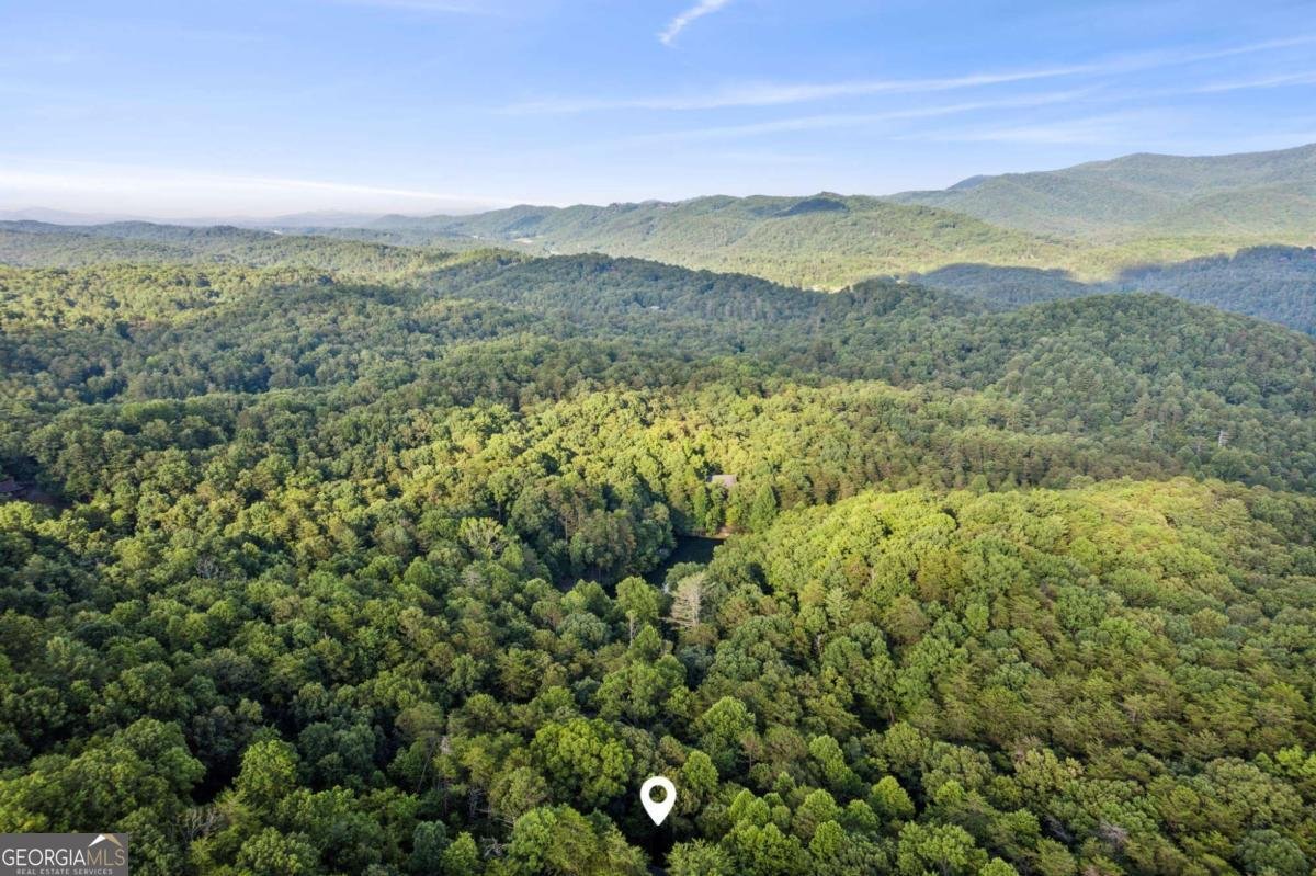 889 Granny Branch Drive Blue Ridge - 62