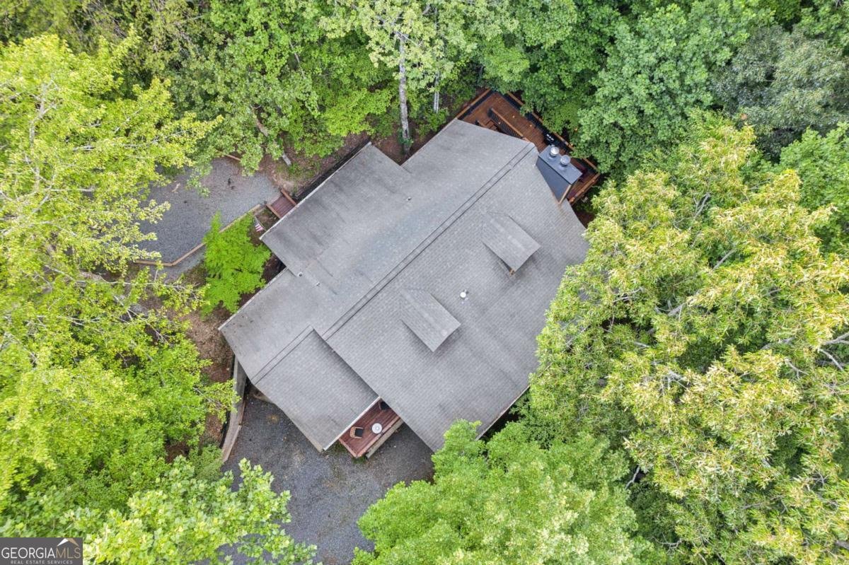 889 Granny Branch Drive Blue Ridge - 63
