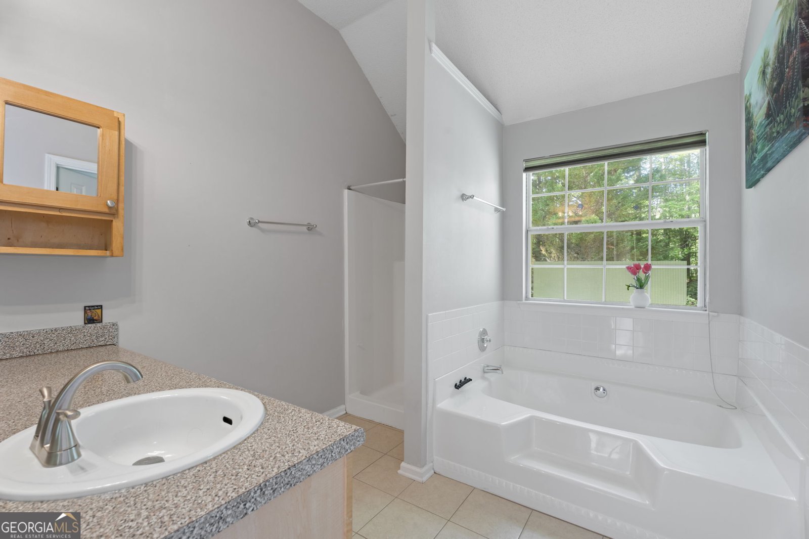 96 Ashtonbrook Drive McDonough - 40