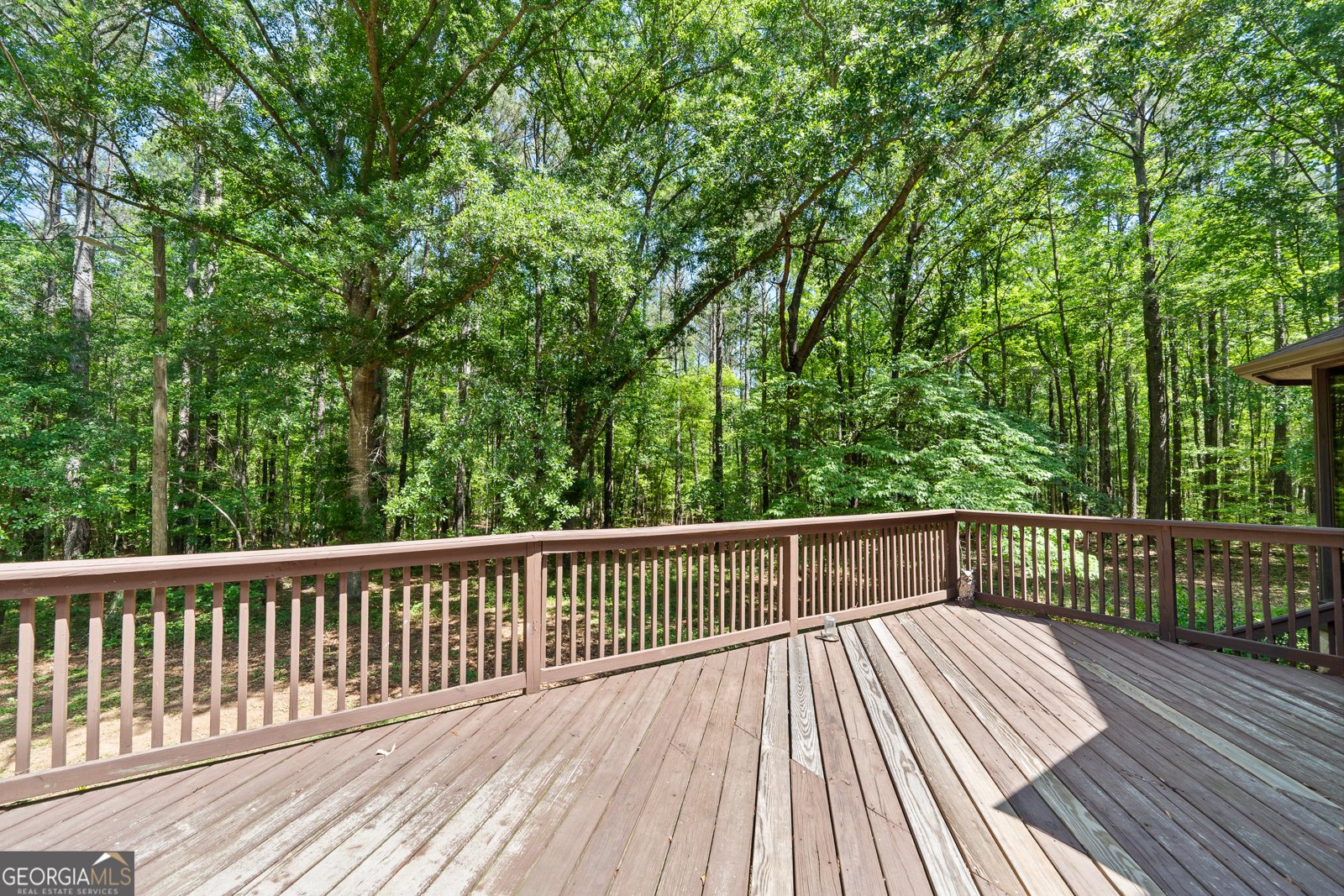 1627 Leguin Mill Road Locust Grove - 23