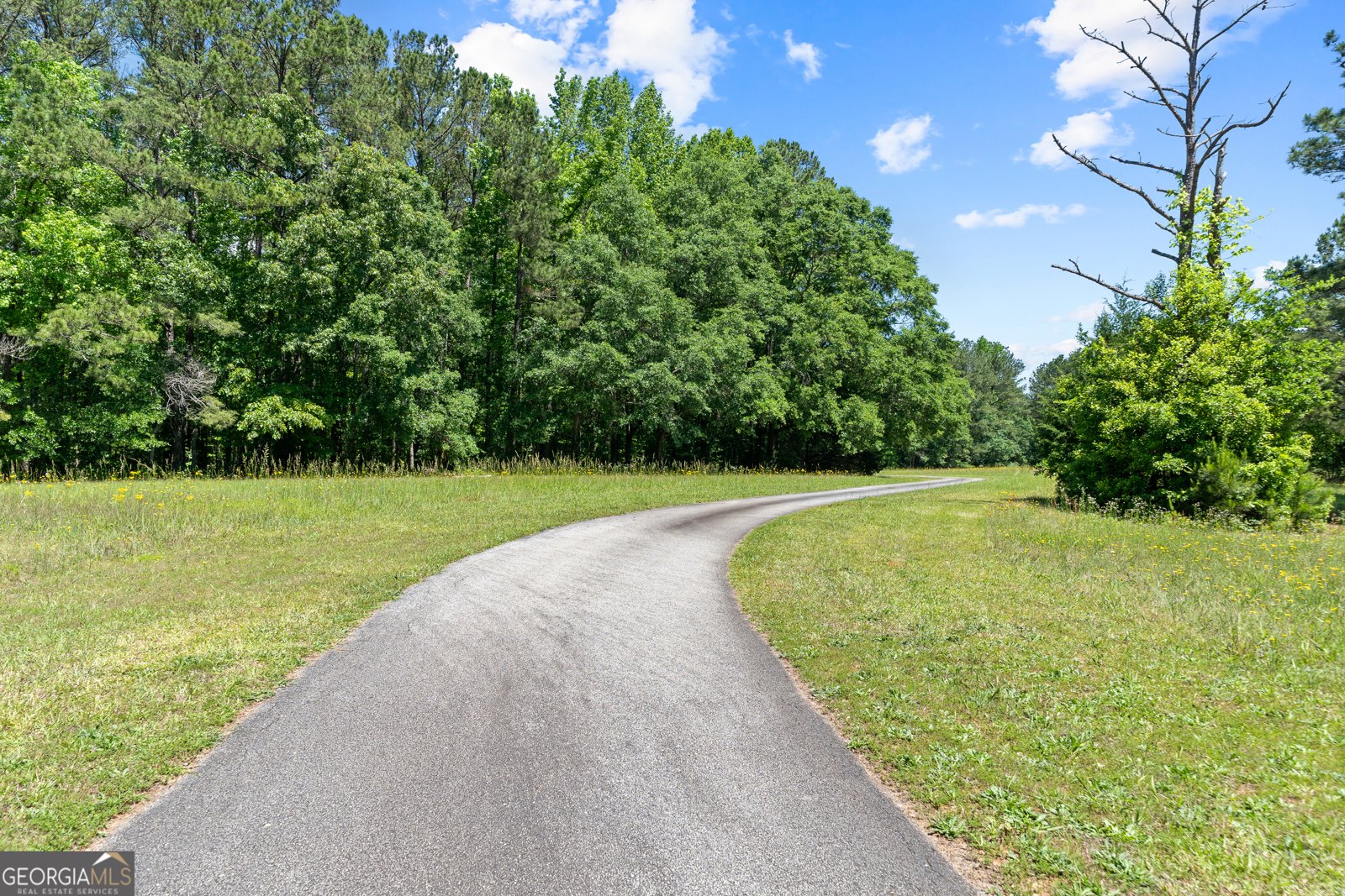 1627 Leguin Mill Road Locust Grove - 3