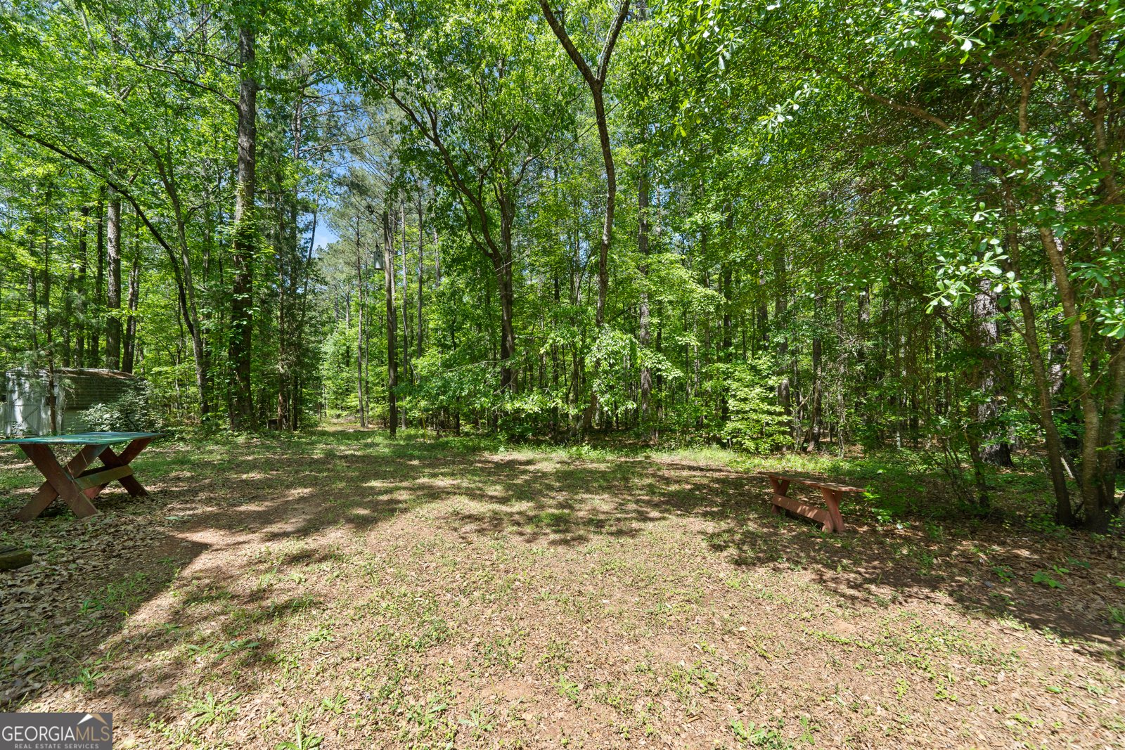 1627 Leguin Mill Road Locust Grove - 38