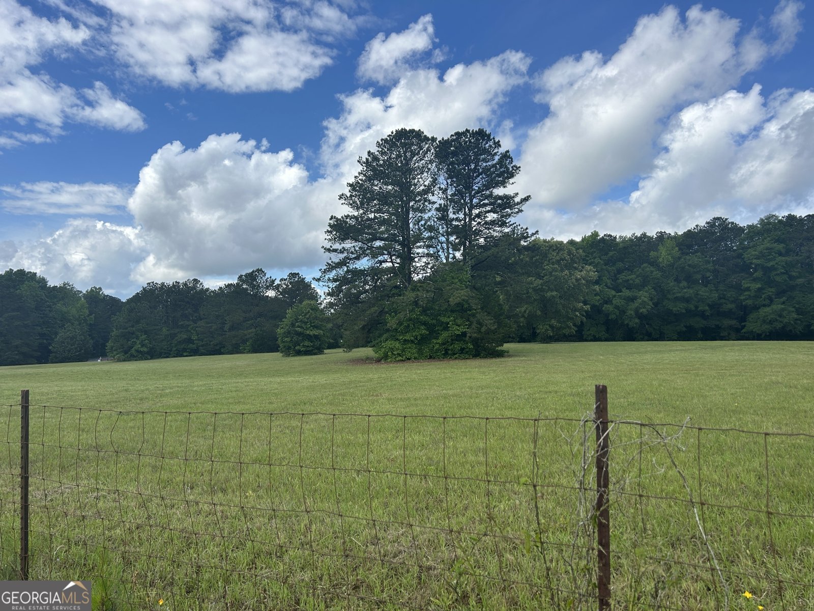 1627 Leguin Mill Road Locust Grove - 4