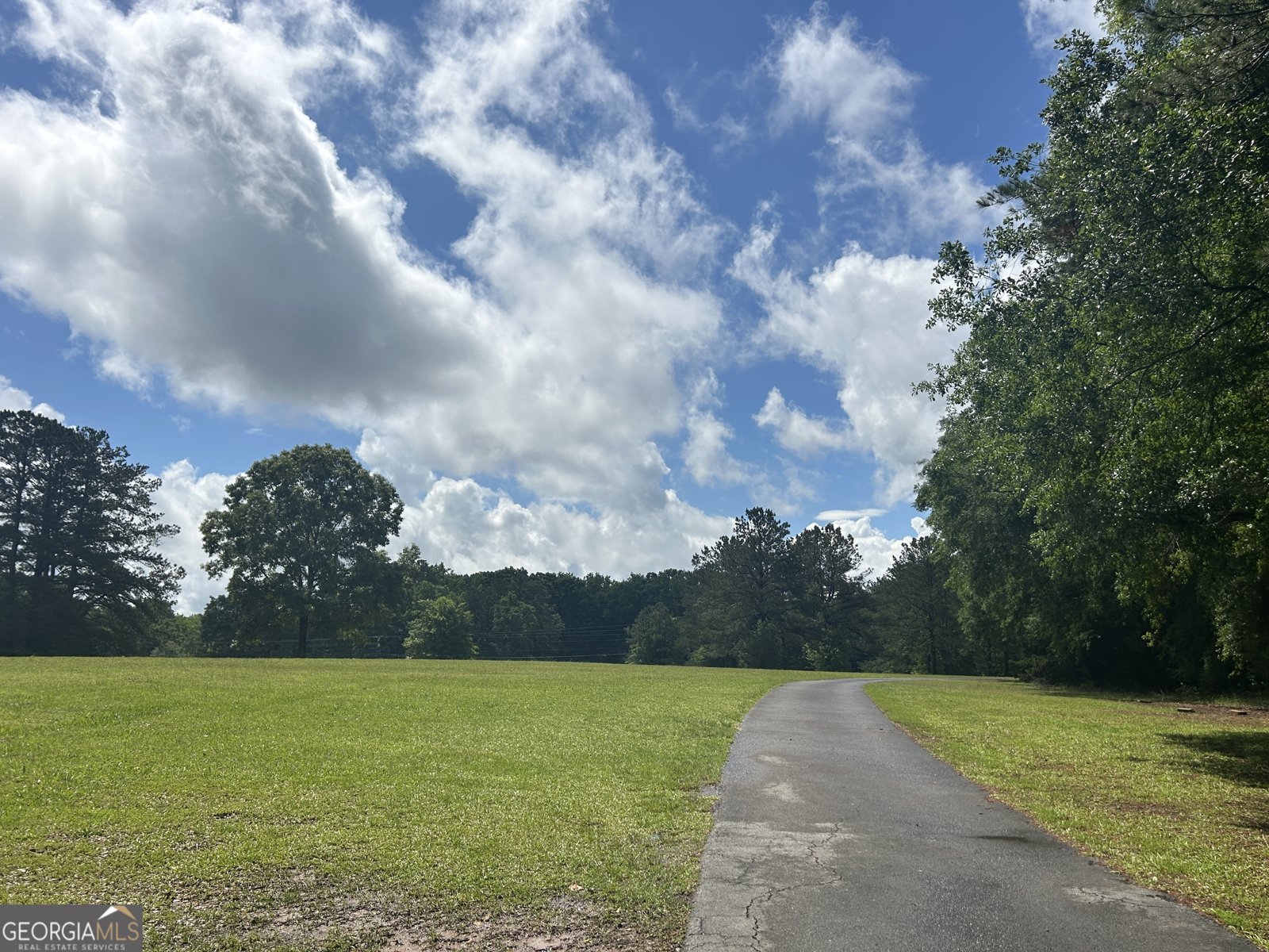 1627 Leguin Mill Road Locust Grove - 41