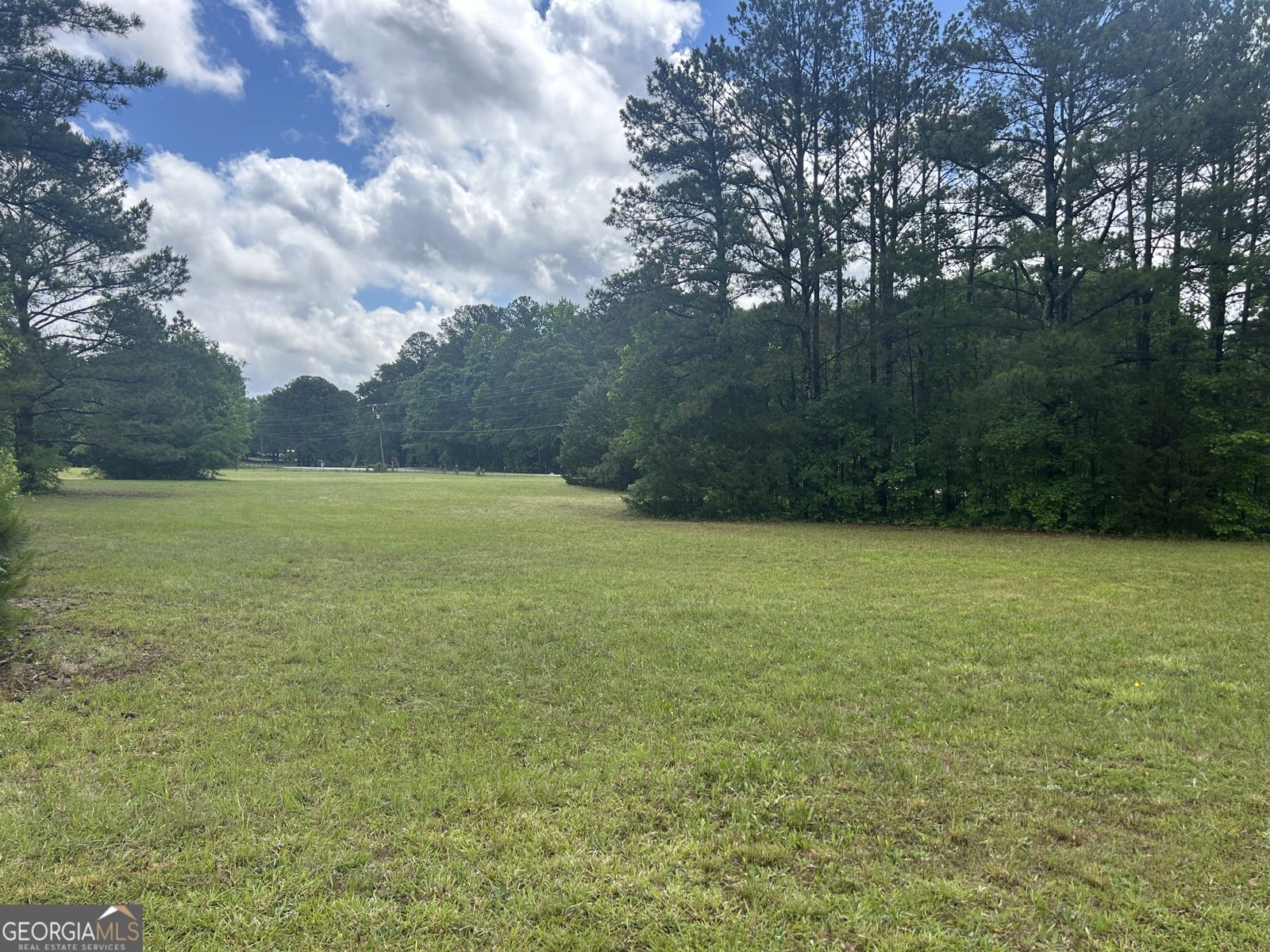 1627 Leguin Mill Road Locust Grove - 43