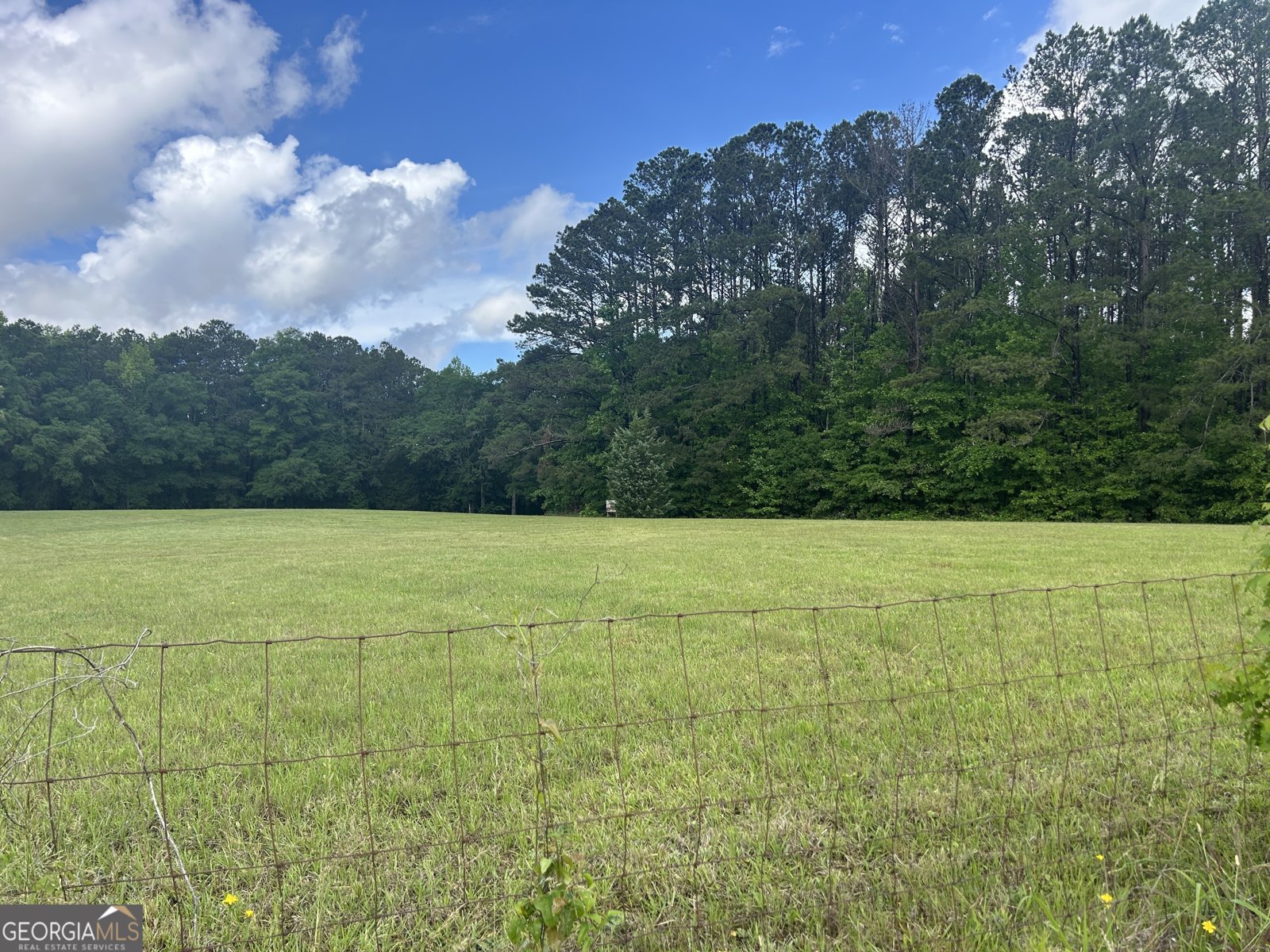 1627 Leguin Mill Road Locust Grove - 44
