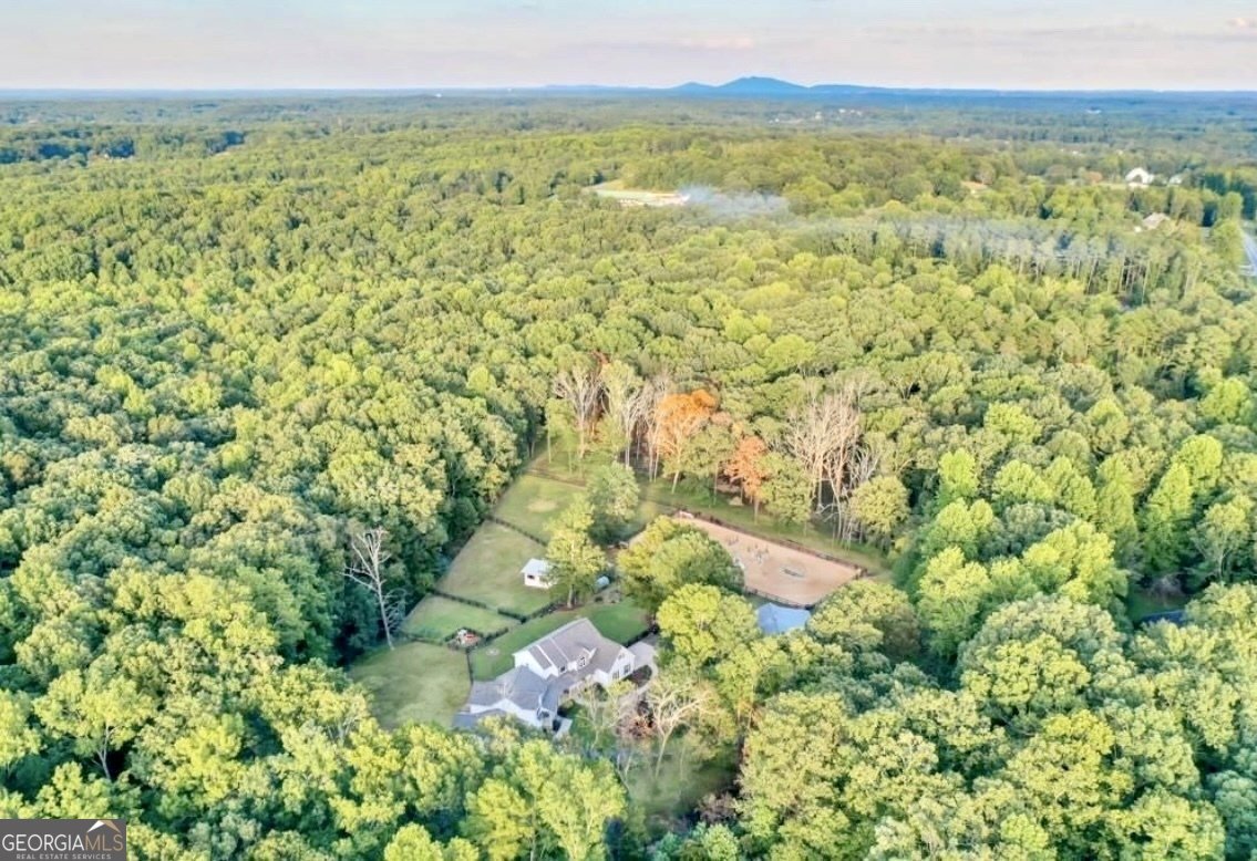 2203 Arbor Hill Road Canton - 3
