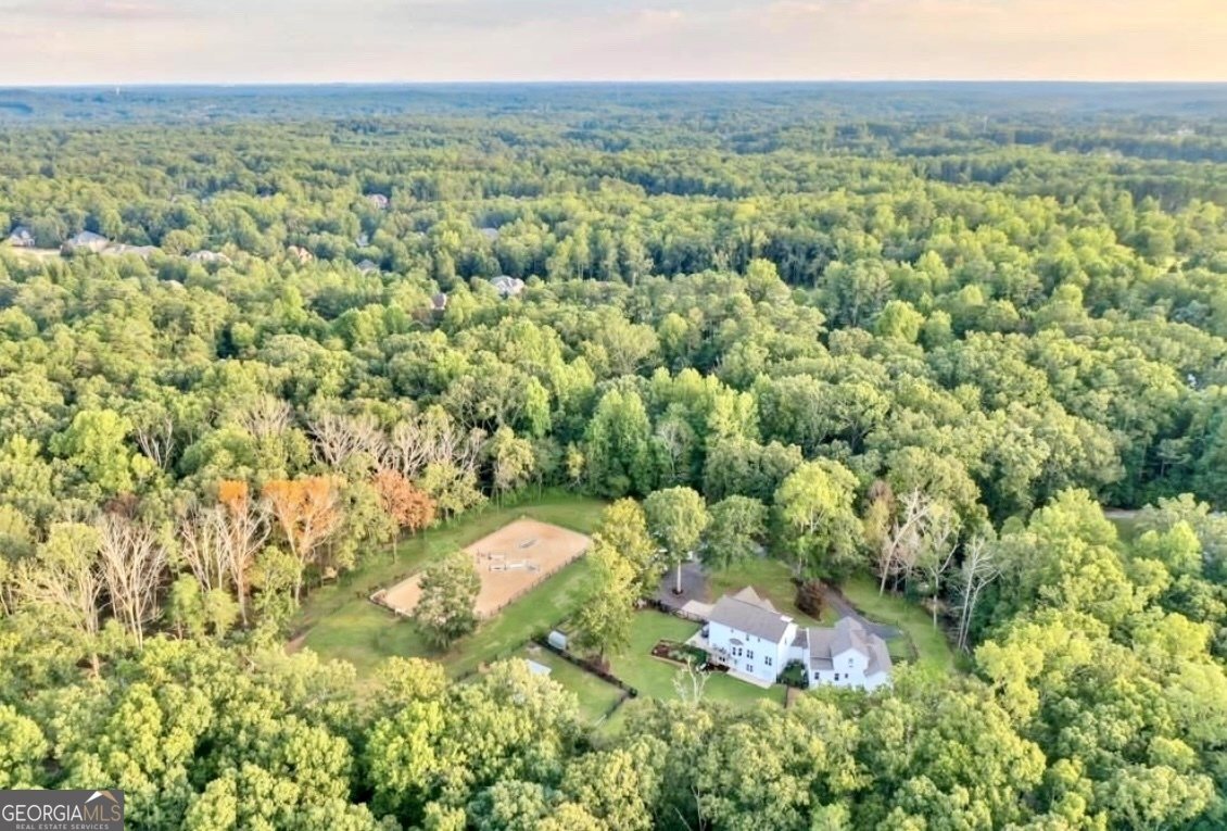 2203 Arbor Hill Road Canton - 4