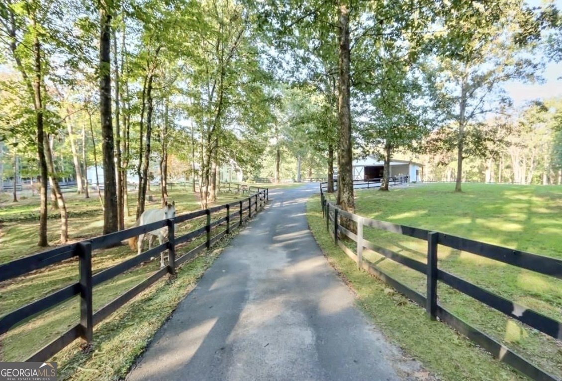 2203 Arbor Hill Road Canton - 7