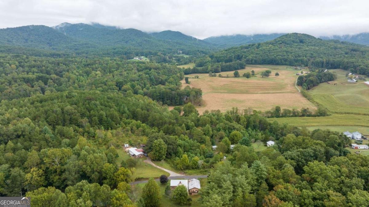 456 Pickelsimer Road Blairsville - 24