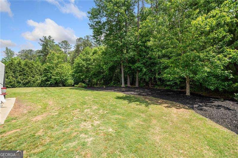 390 Scott Farm Drive Powder Springs - 52