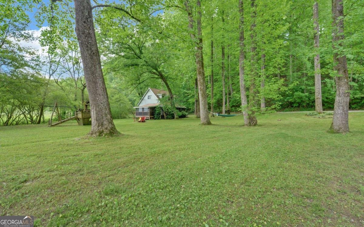 321 Call Wright Road Ellijay - 82