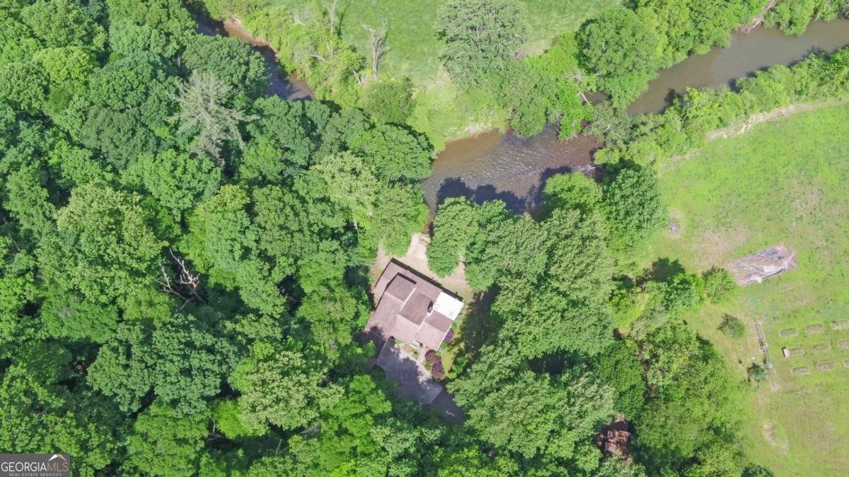 321 Call Wright Road Ellijay - 93