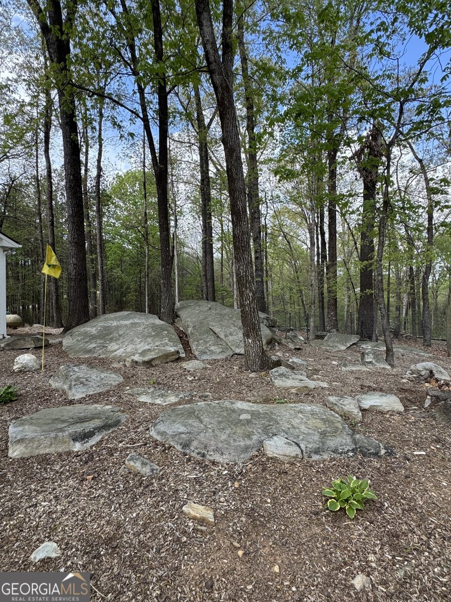 1510 Skelton Road Hoschton - 60