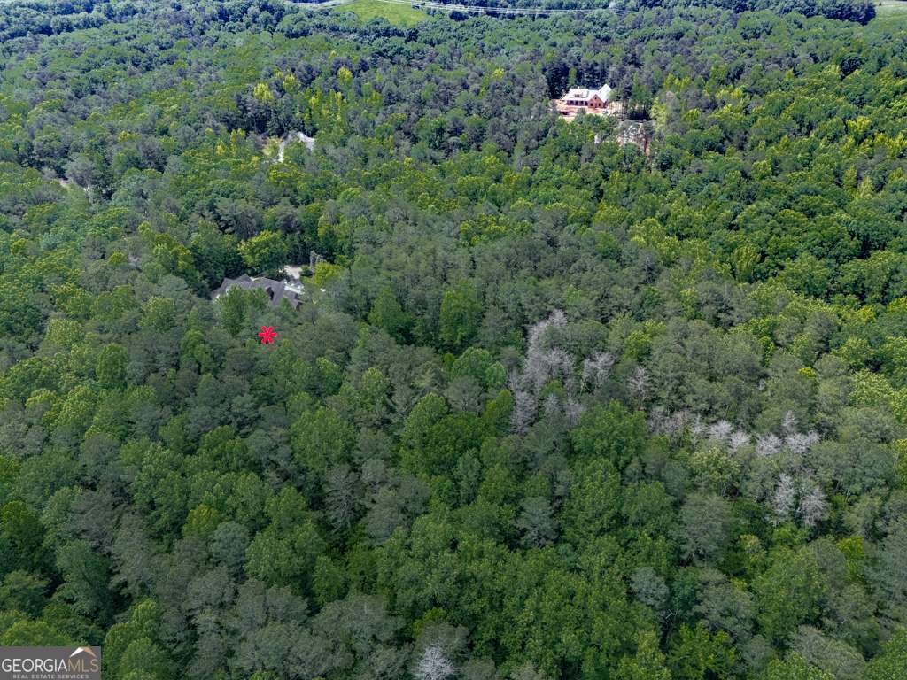 275 Frances Road Canton - 76