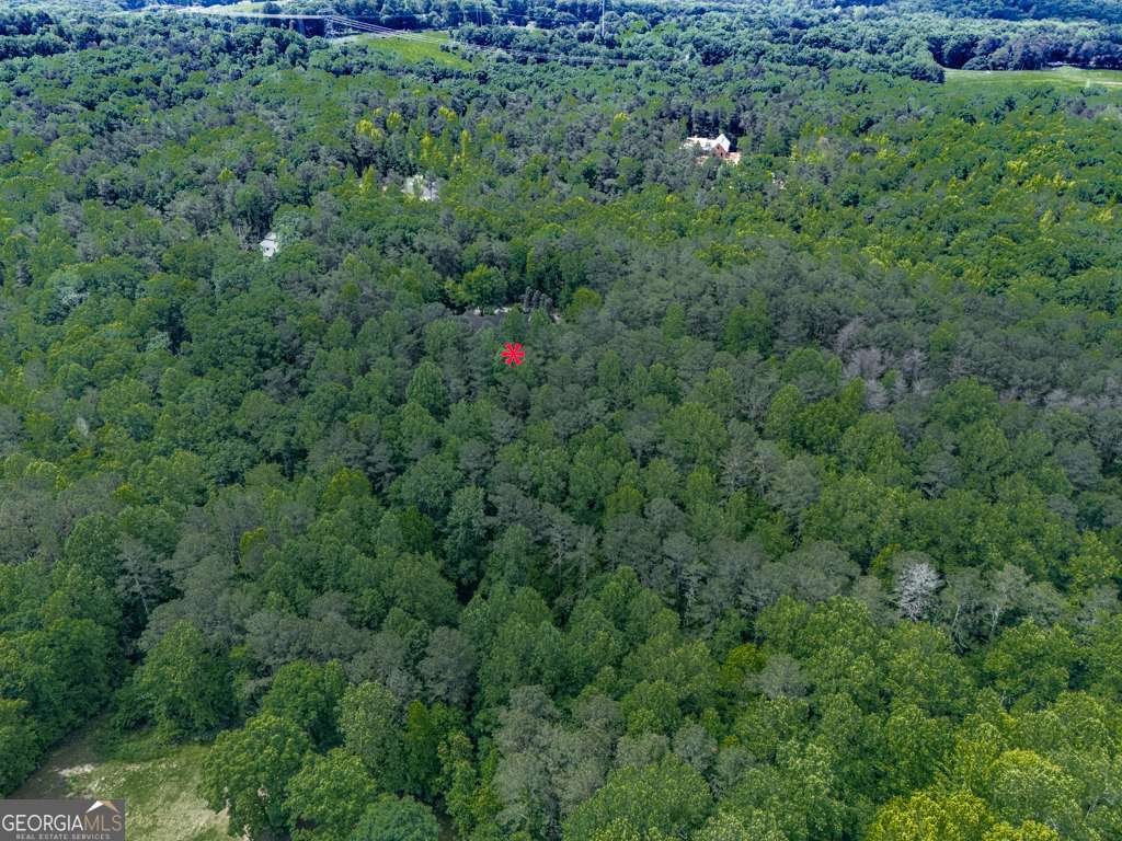 275 Frances Road Canton - 78