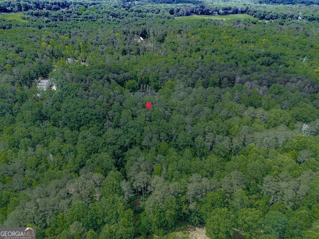 275 Frances Road Canton - 80