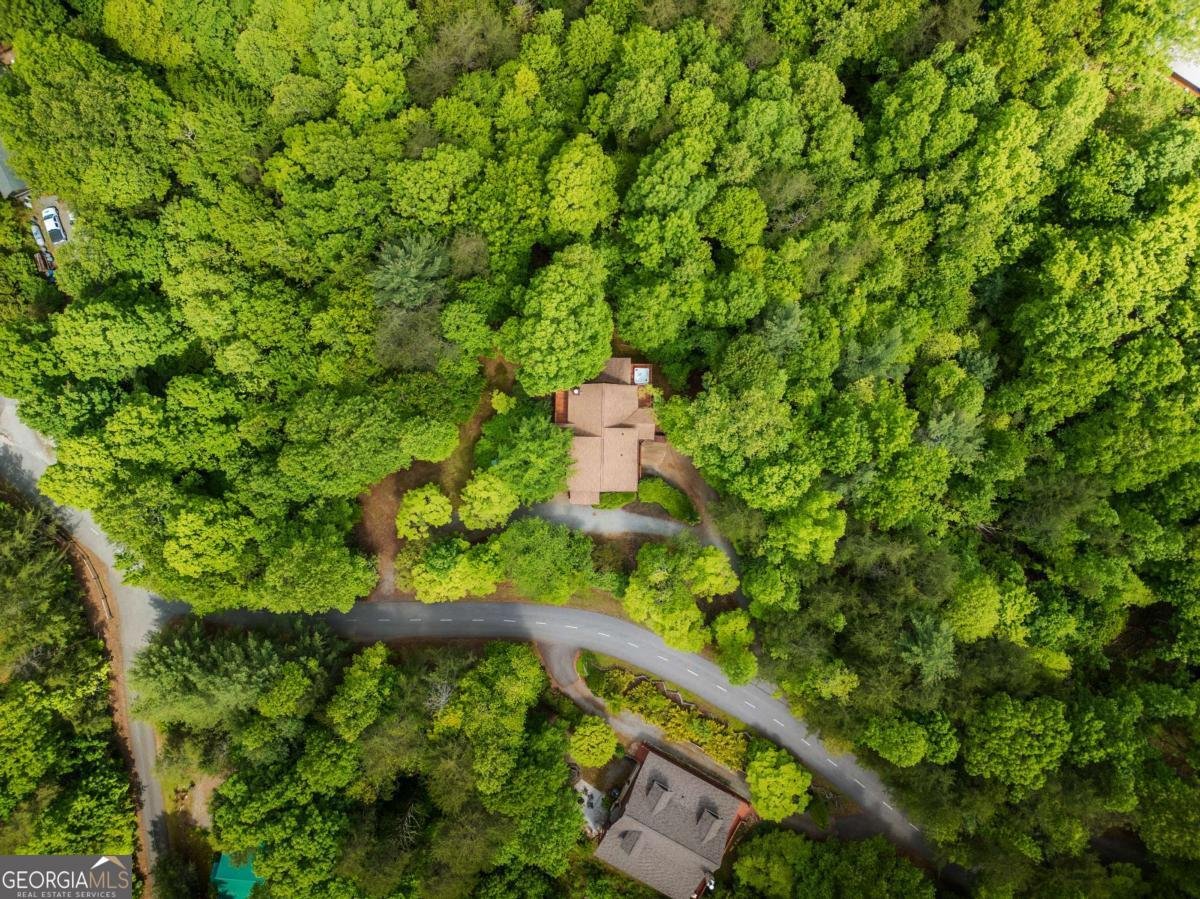 1600 My Mountain Road Morganton - 38