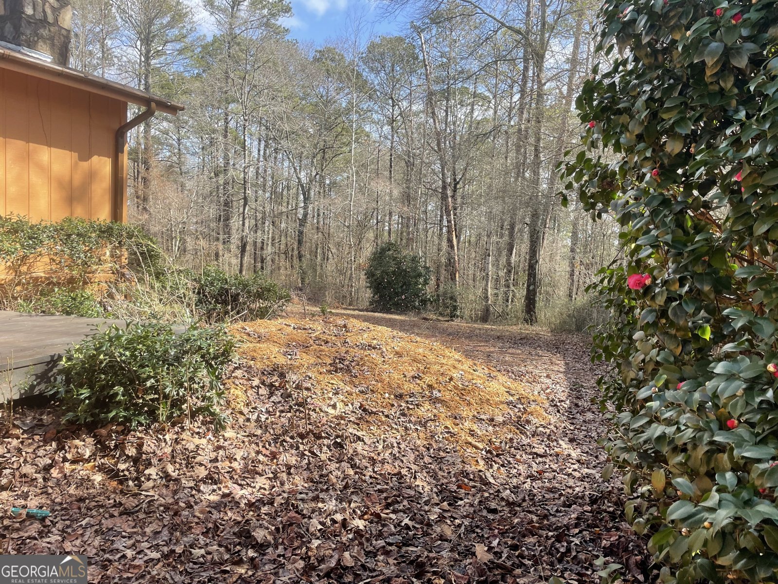 175 THIGPEN Road Newnan - 23